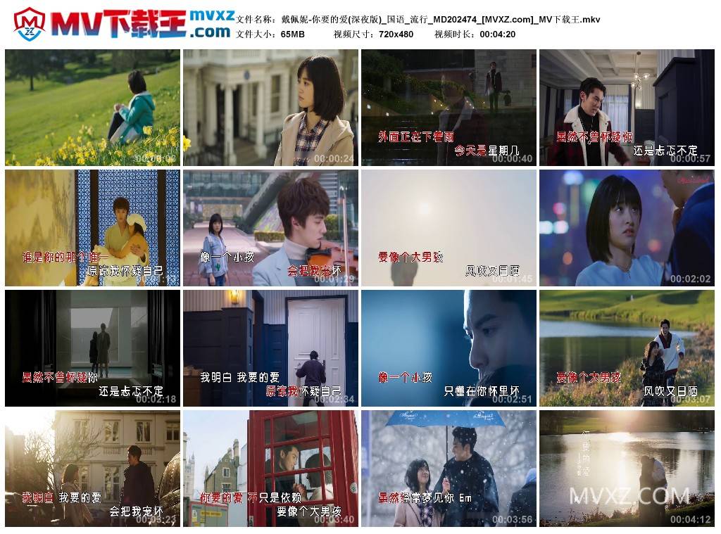 戴佩妮-你要的爱(深夜版)_国语_流行_MD202474